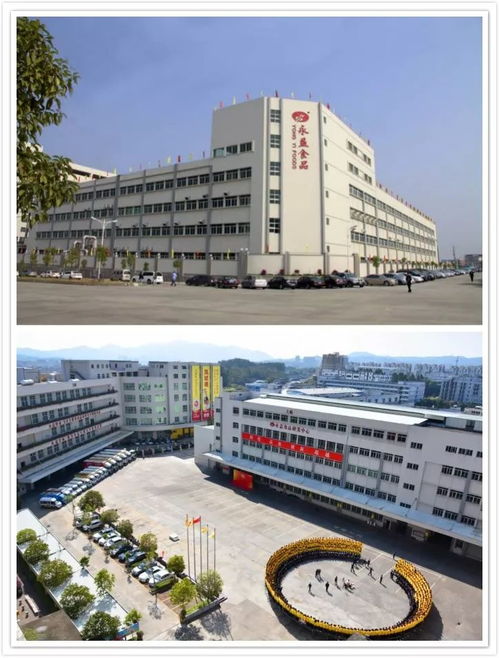 青企镇街行 走进厚街