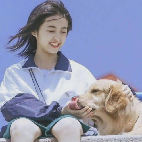 为什么《开端》里的赵今麦，以及“妹妹系”女主如此讨人喜欢？