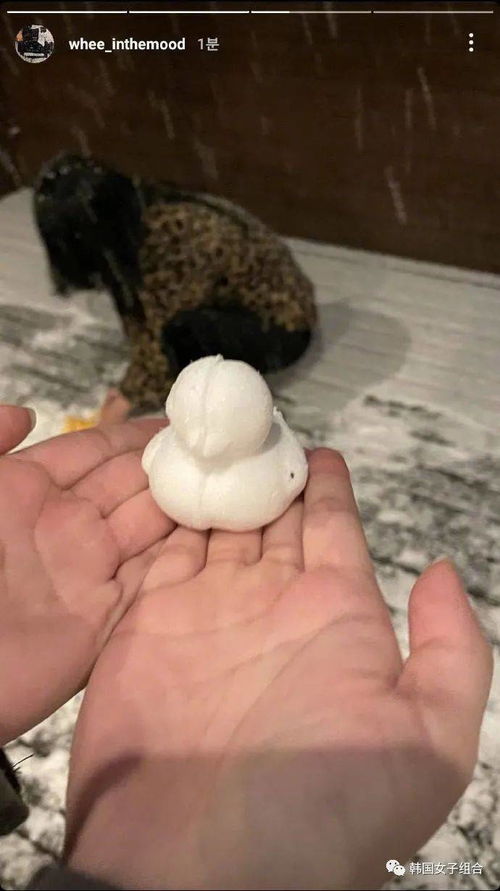 昨晚首尔大雪,在大雪中尽情玩耍的几位女团爱豆