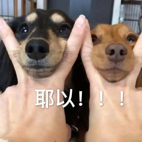 大荒tv 前线快报,神秘白衣少侠邀你共战锁妖塔