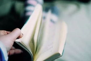 这辈子，能爱就爱吧